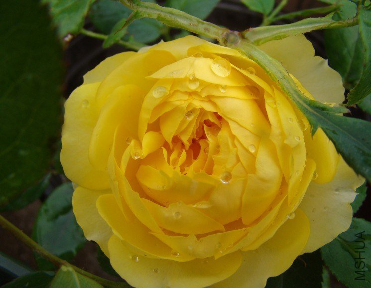 QQ��ͼ20130525103058.jpg