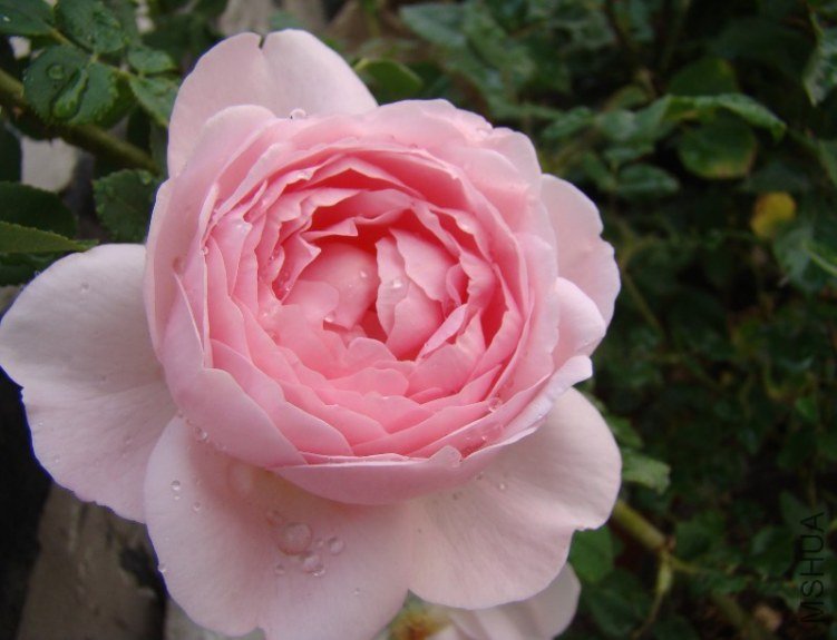 QQ��ͼ20130525101134.jpg