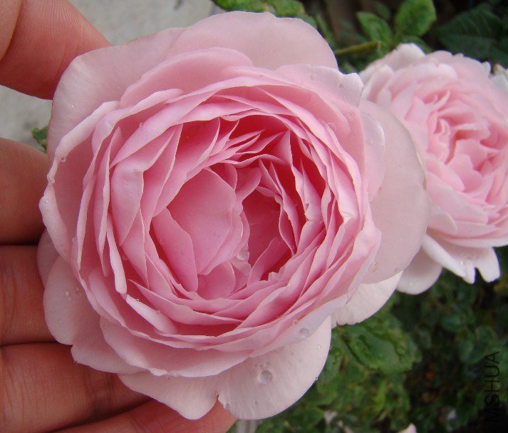 QQ��ͼ20130525101148.jpg