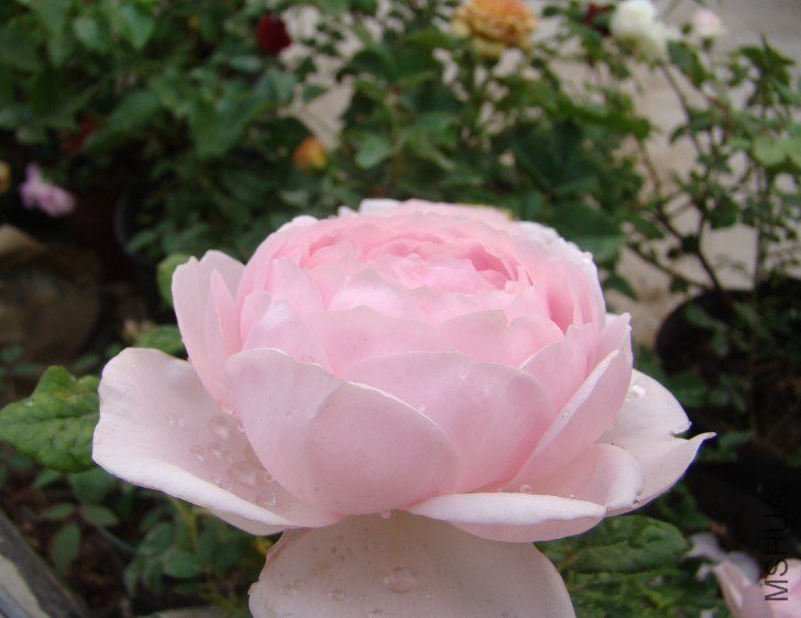 QQ��ͼ20130525101206.jpg