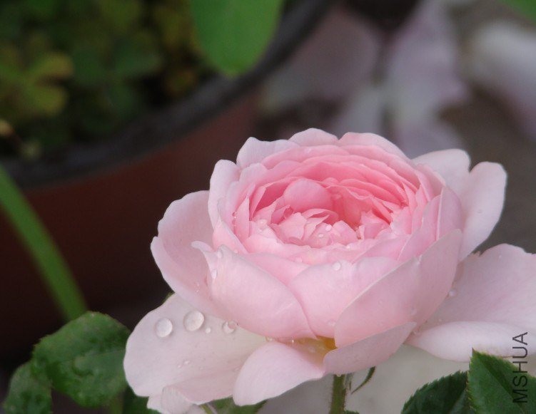 QQ��ͼ20130525103328.jpg