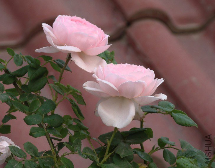 QQ��ͼ20130525104715.jpg
