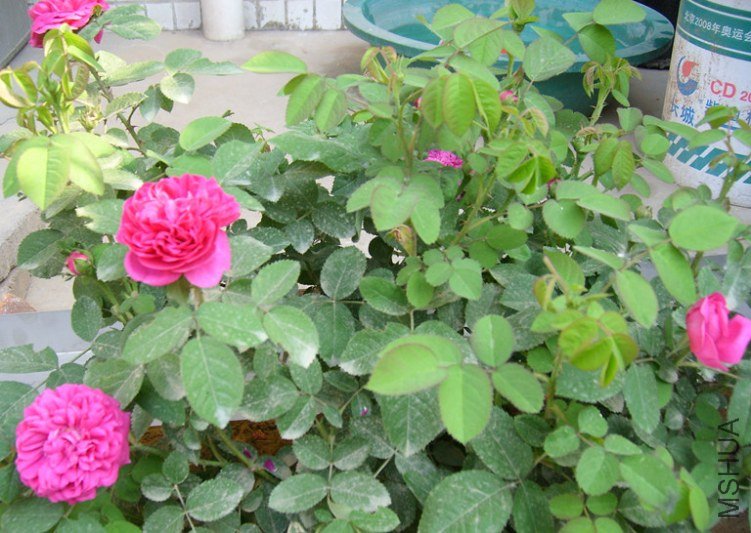STP64992_����.jpg