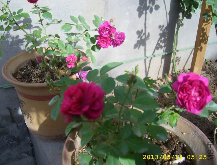 STP64972_����.jpg