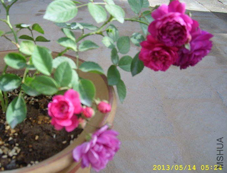 STP64970_����.jpg