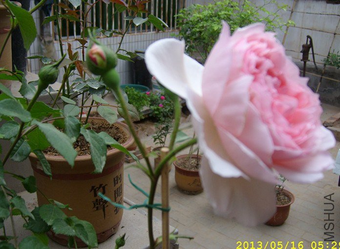 STP65001_����.jpg