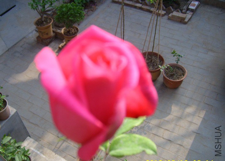 STP65025_����.jpg