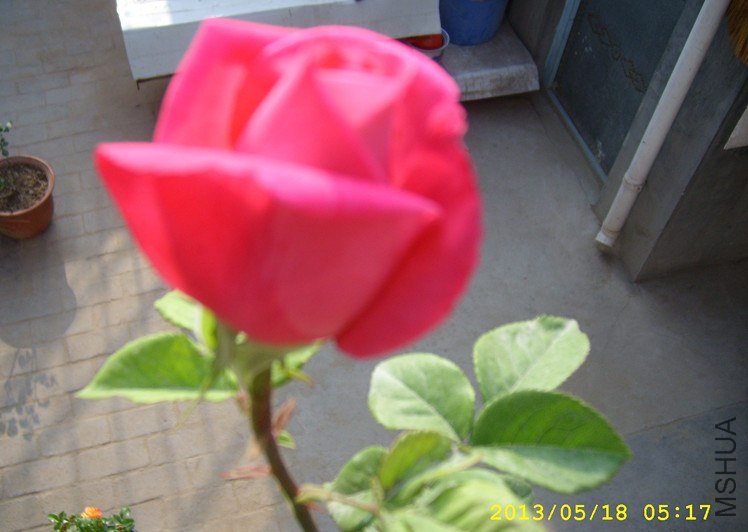 STP65032_����.jpg