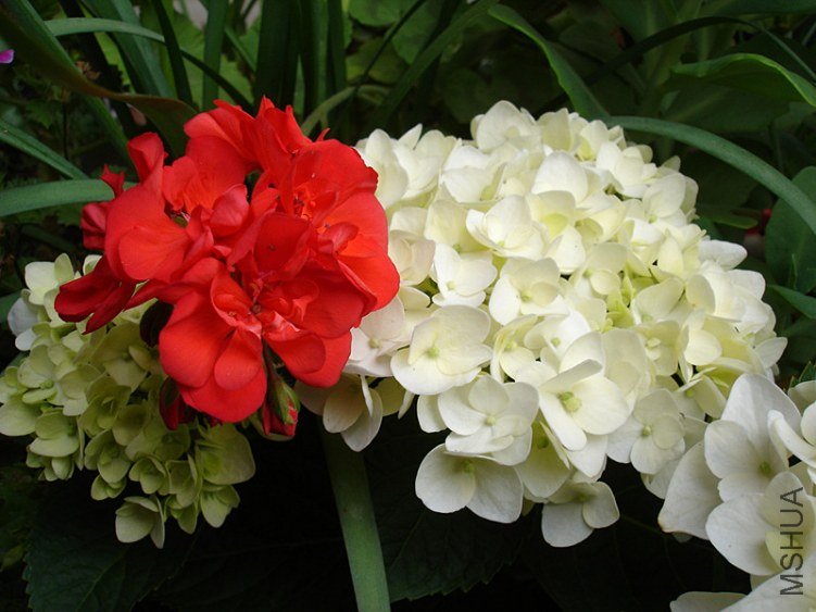 �� ����2.jpg