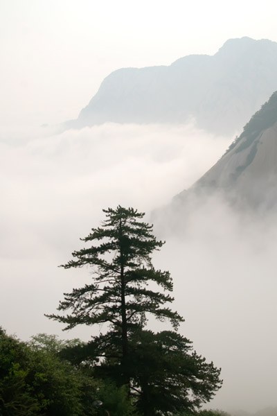 DSC_05261.jpg
