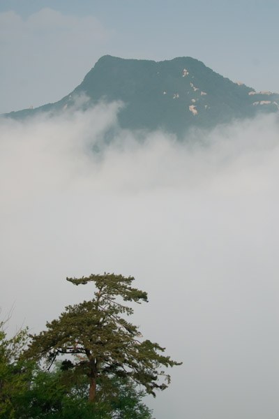 DSC_05481.jpg