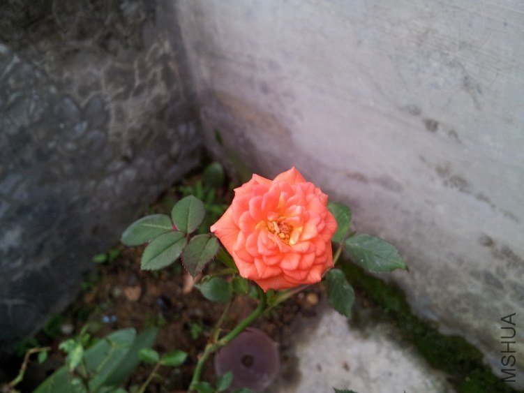 20130517_181746.jpg