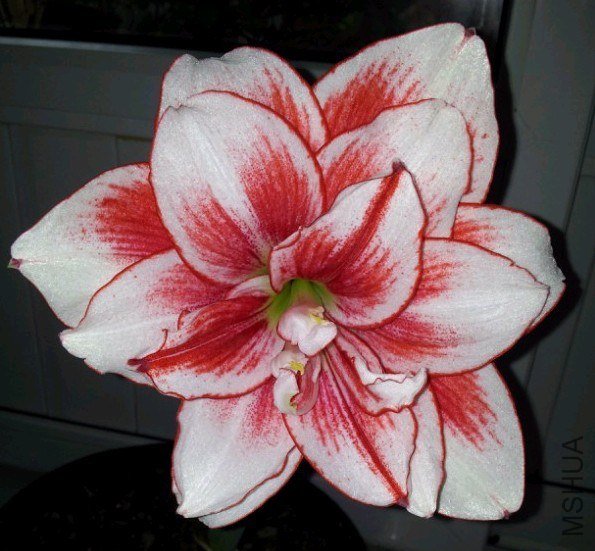 QQͼƬ20130526121341.jpg