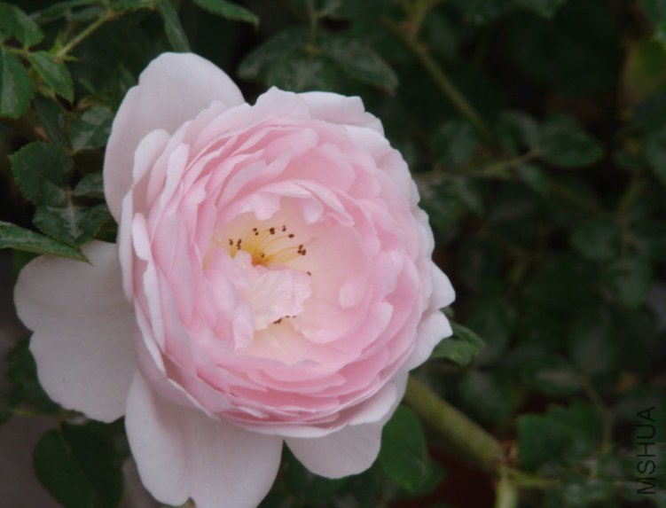 QQ��ͼ20130526120858.jpg