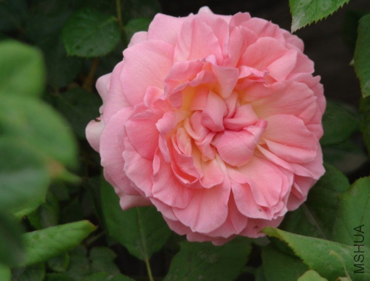 QQ��ͼ20130526121008.jpg