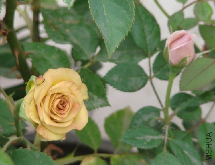 QQ��ͼ20130526121016.jpg