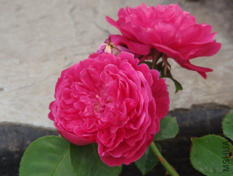 QQ��ͼ20130526121049.jpg