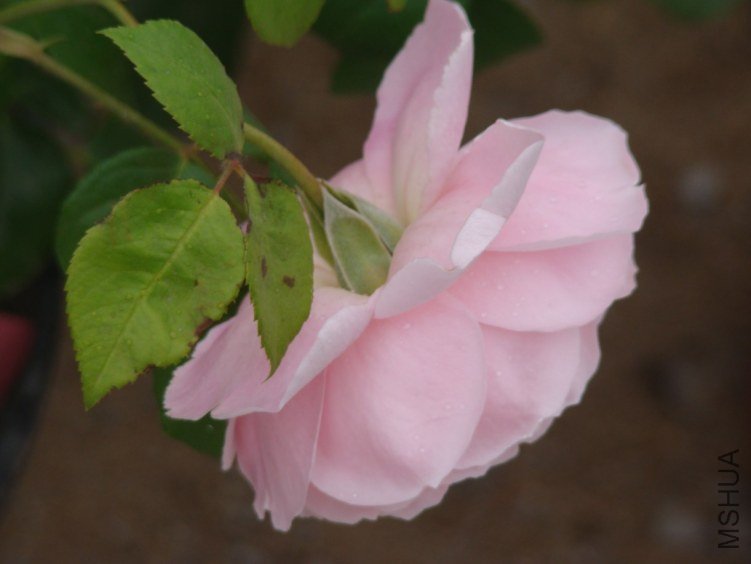QQ��ͼ20130526121123.jpg