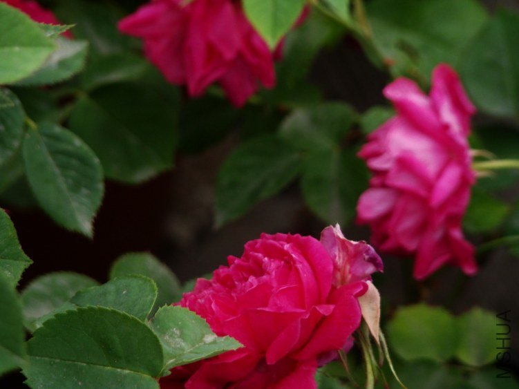 QQ��ͼ20130526121327.jpg