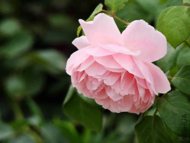 QQ��ͼ20130526121351.jpg