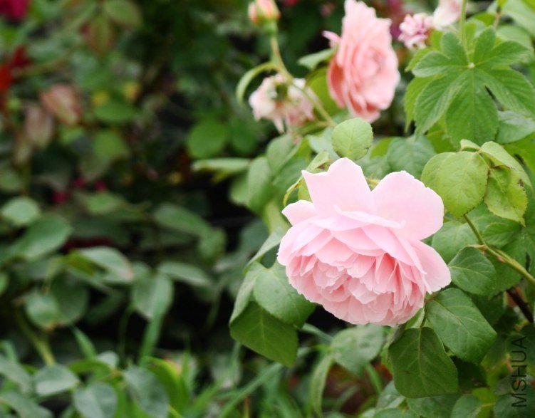 QQ��ͼ20130526121614.jpg