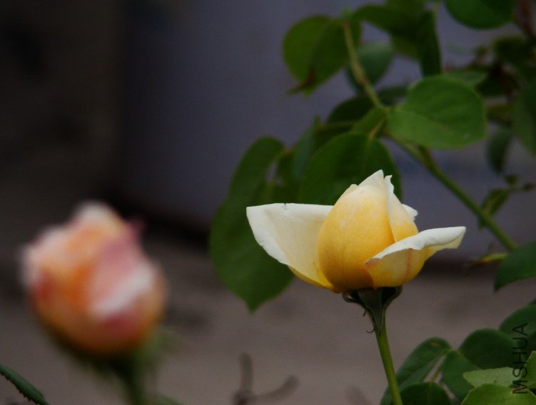 QQ��ͼ20130526121438.jpg