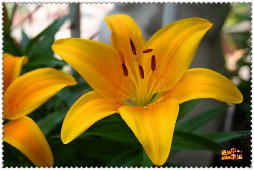 ��Ƭ 012_����.jpg