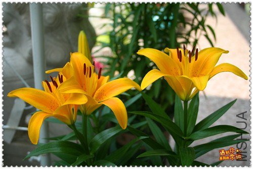 ��Ƭ 010_����.jpg