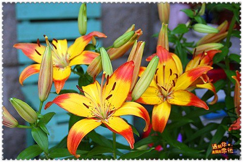 ��Ƭ 015_����.jpg