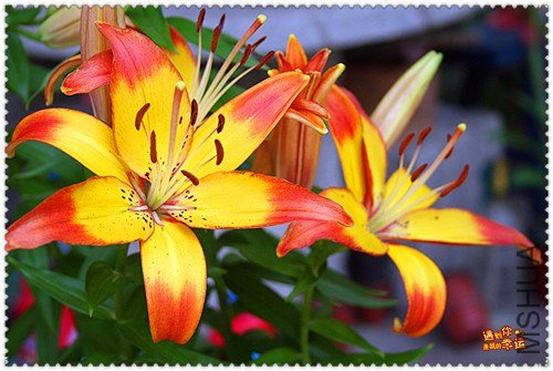 ��Ƭ 017_����.jpg