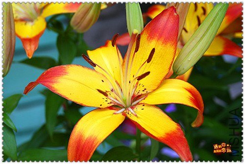 ��Ƭ 019_����.jpg