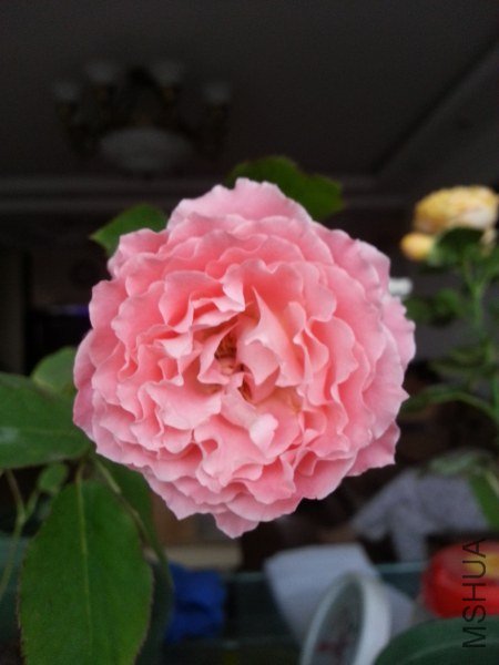 20130524_182321_�༭_�༭.jpg