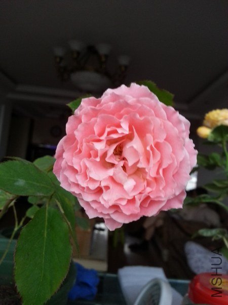 20130524_182213_�༭_�༭.jpg