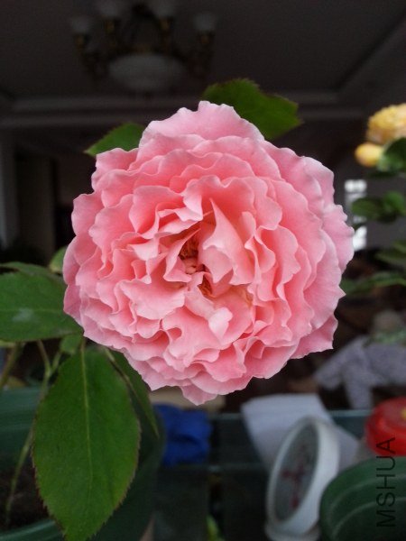 20130524_182234_�༭_�༭.jpg