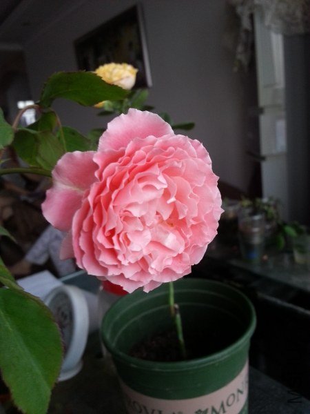 20130524_182308_�༭_�༭.jpg