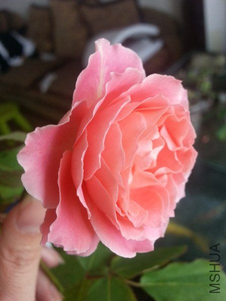 20130523_121504_�༭_�༭.jpg