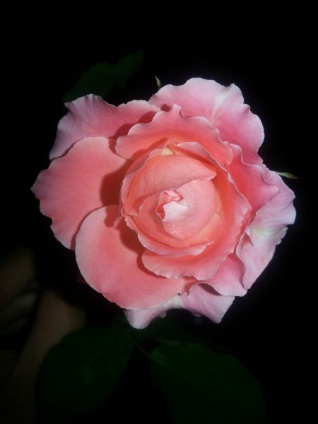 20130522_213134_�༭_�༭.jpg