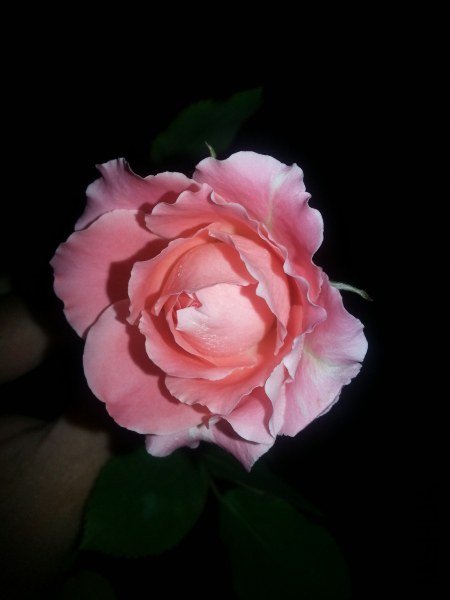 20130522_213223_�༭_�༭.jpg