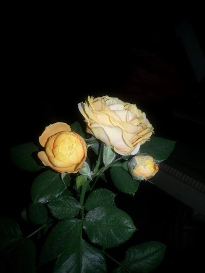 20130523_203740_�༭.jpg