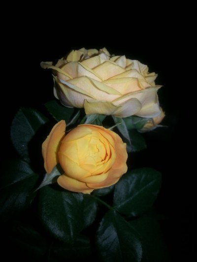 20130523_203807_�༭.jpg