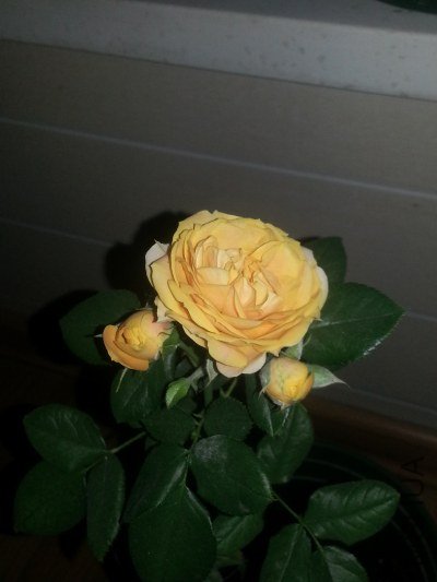 20130521_190709_�༭.jpg