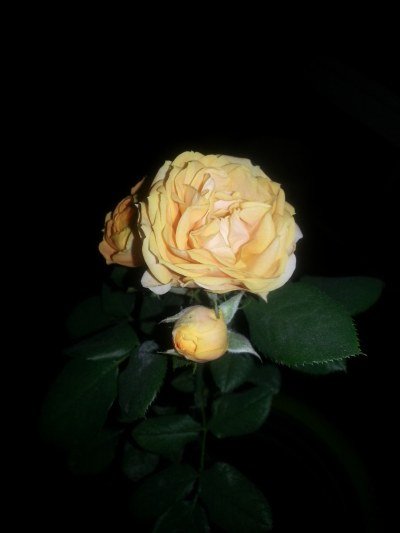 20130523_203606_�༭.jpg