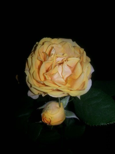 20130523_203613_�༭.jpg