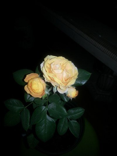 20130523_203733_�༭.jpg