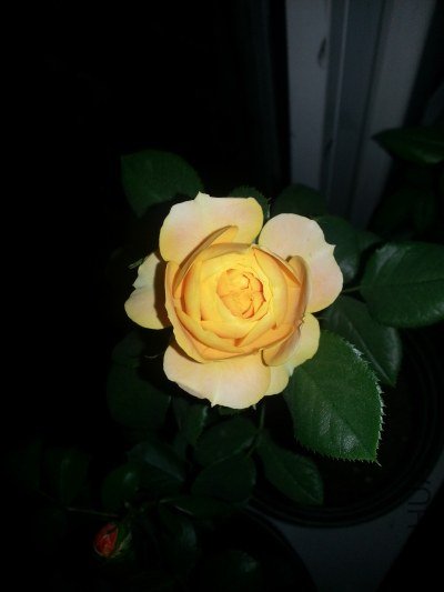 20130516_223747_�༭.jpg
