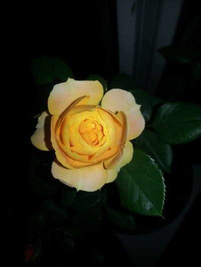 20130516_223757_�༭.jpg