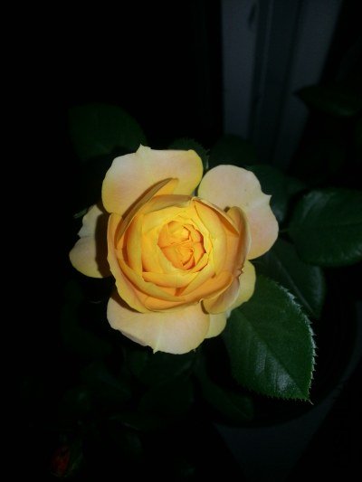 20130516_223801_�༭.jpg
