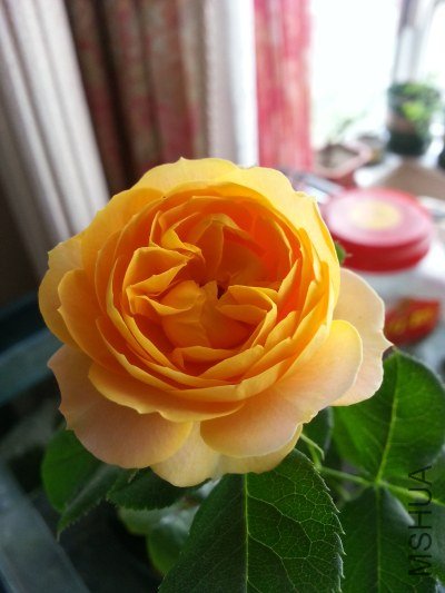 20130517_124339_�༭.jpg