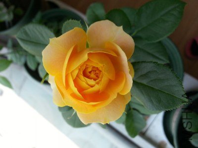 20130516_124808_�༭.jpg