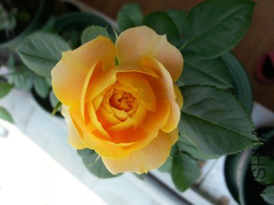 20130516_124810_�༭.jpg